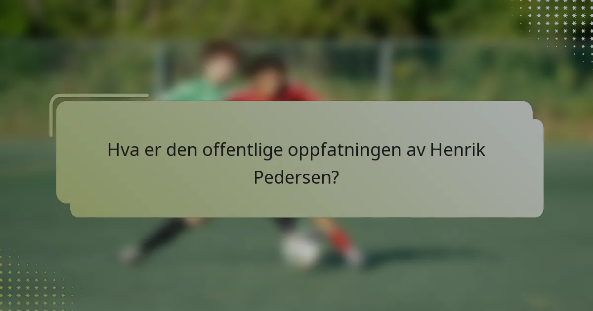Hva er den offentlige oppfatningen av Henrik Pedersen?