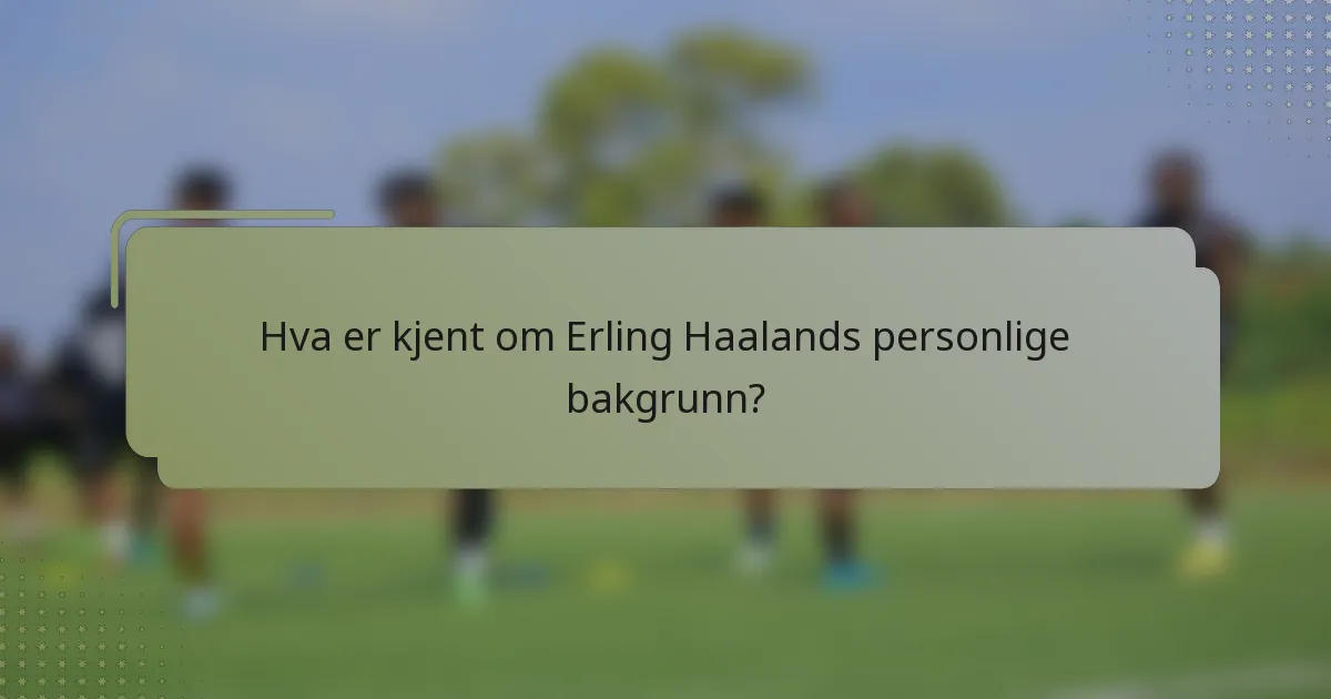 Hva er kjent om Erling Haalands personlige bakgrunn?