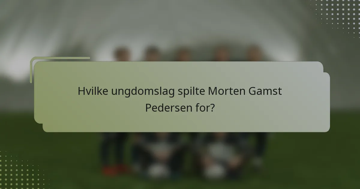 Hvilke ungdomslag spilte Morten Gamst Pedersen for?